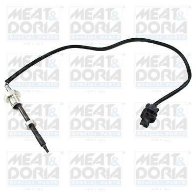 Sensor, exhaust gas temperature
